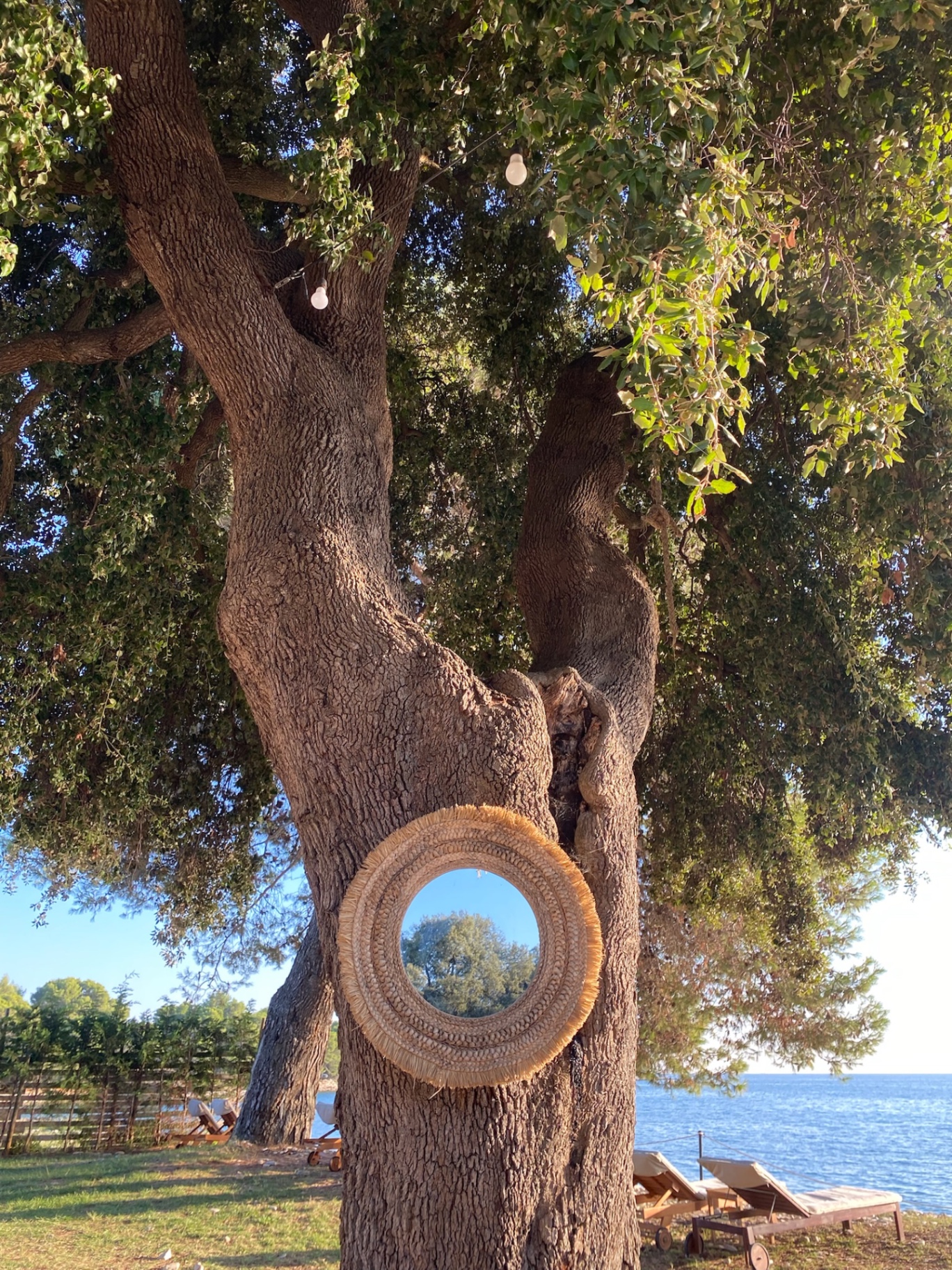 Woven mirror hanging from a seaside tree in Istria